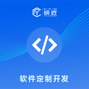 软件定制开发