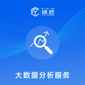 大数据分析服务
