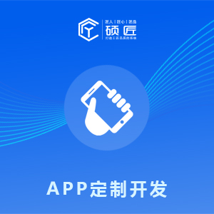 APP定制开发