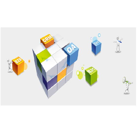 企业级定制软件开发（java）