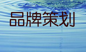 在品牌规划中应遵循的原则