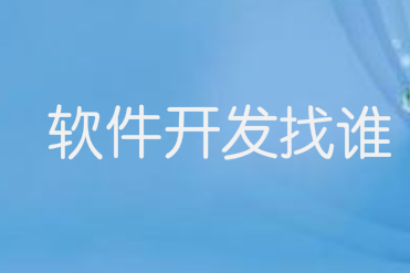 软件开发找谁?找大公司还是小公司?