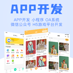 APP定制开发