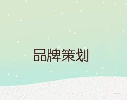 品牌策划时应该如何进行?