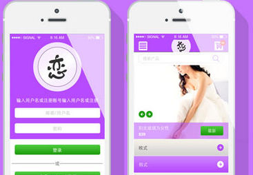 影响电商APP开发周期的因素