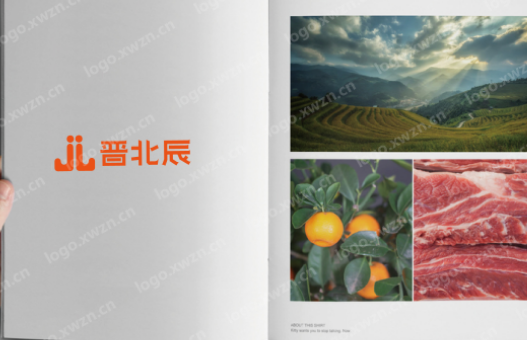 设计一个晋北辰的logo设计,要求logo去繁就简