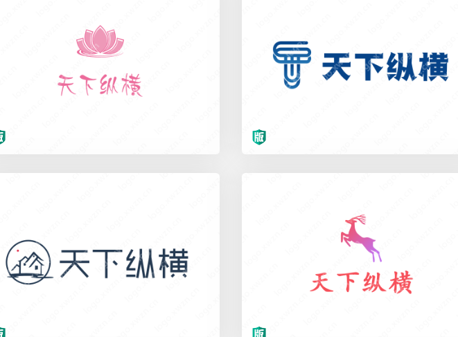 【天下纵横】logo设计，让你的形象所向披靡
