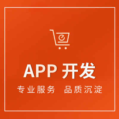 APP开发