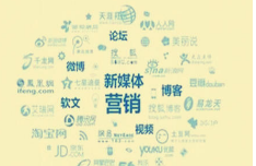 推广产品发展期