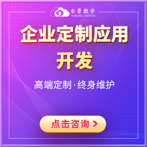 企业定制应用开发
