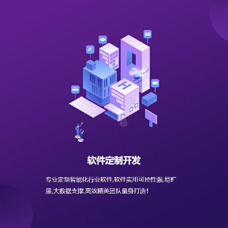 软件定制开发