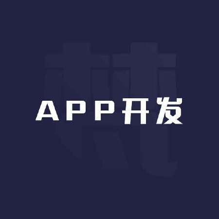 APP开发