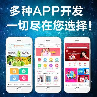 APP定制开发
