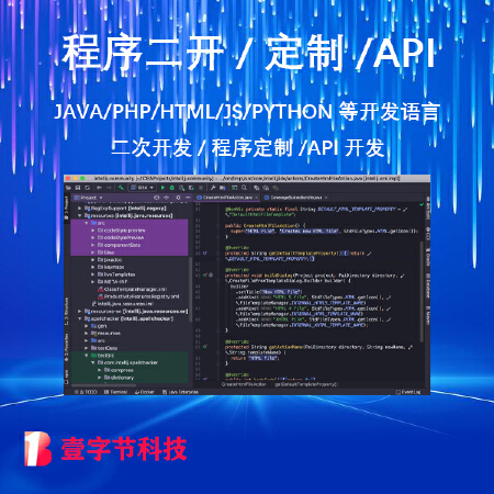 程序二开/定制/API