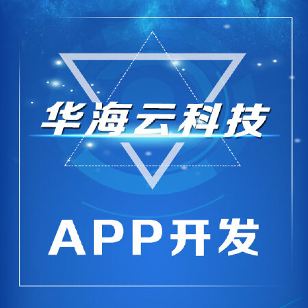 APP定制开发