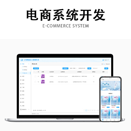电商系统开发