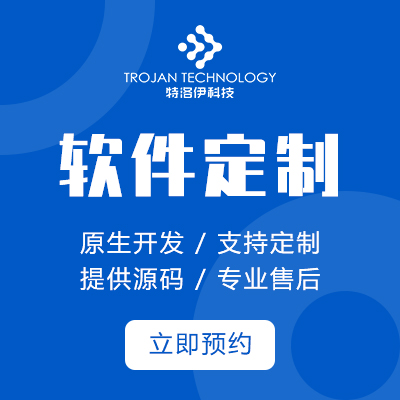 软件定制