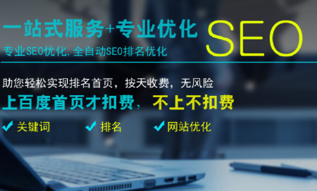 SEO优化-单词优化-整站优化-排名安全稳定