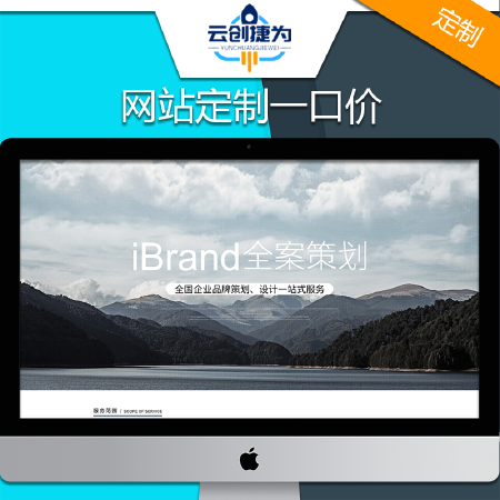 网站定制开发