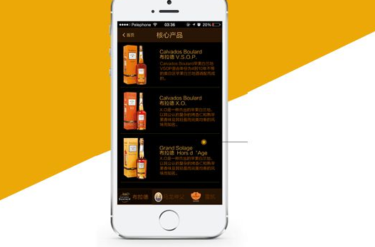酒水商城APP开发方案