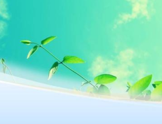 方案策划接单时需要注意些什么