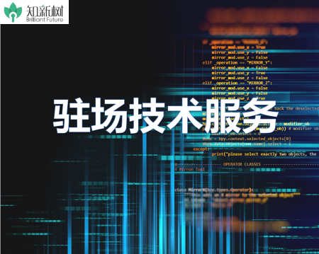 人力外派|研发驻场|资源共享|前端后端测试