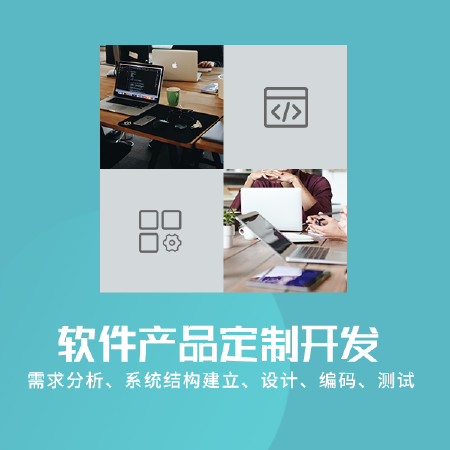 软件产品定制开发