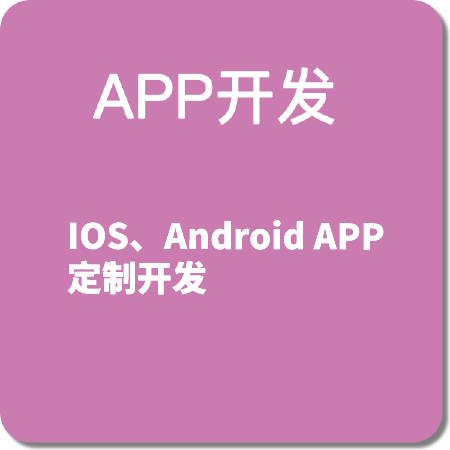 APP开发