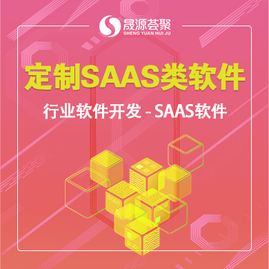 定制SAAS类软件