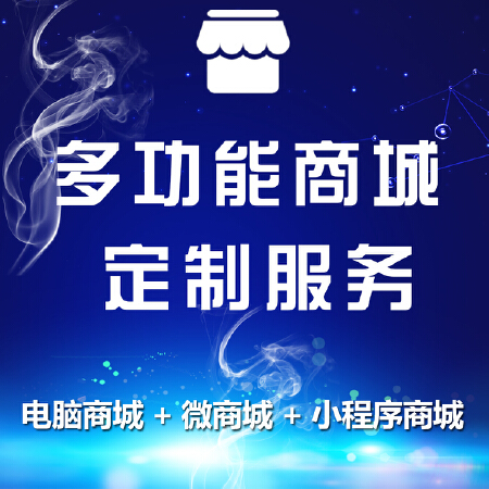 智讯易用多功能商城定制服务