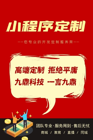 专业定制化小程序开发,专业高效,服务周到