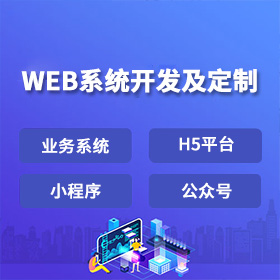 WEB系统开发及定制
