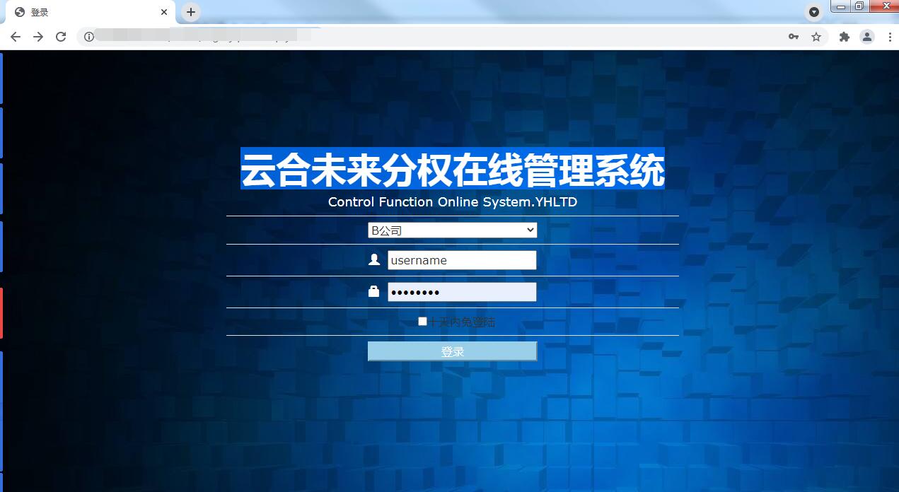 企业办公软件|Web应用开发