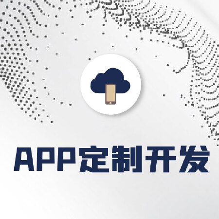 APP定制开发