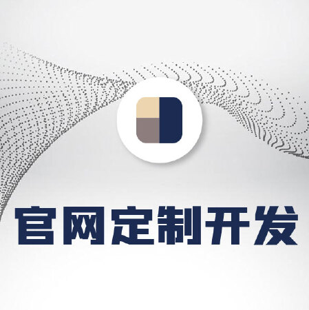 官网定制开发