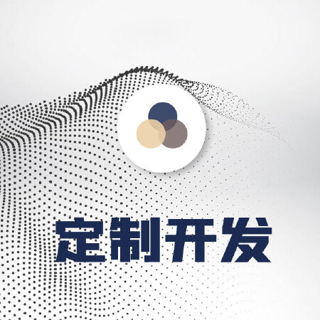 定制开发