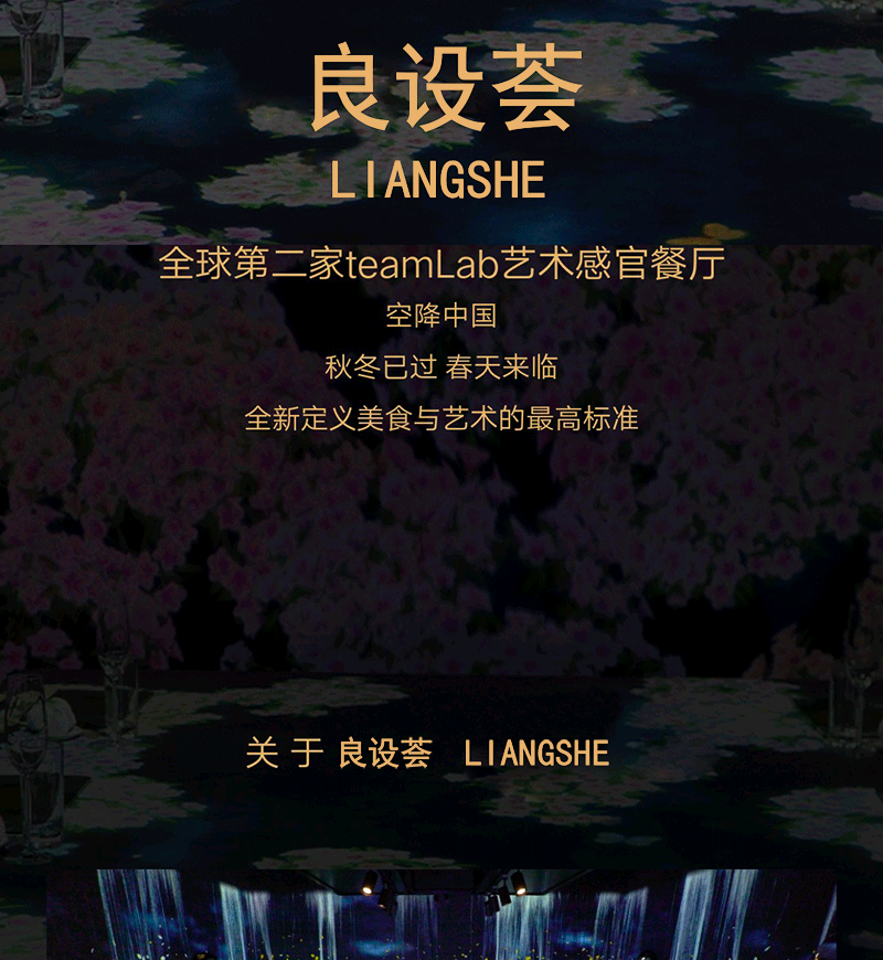 网站开发案例详情：良设夜宴