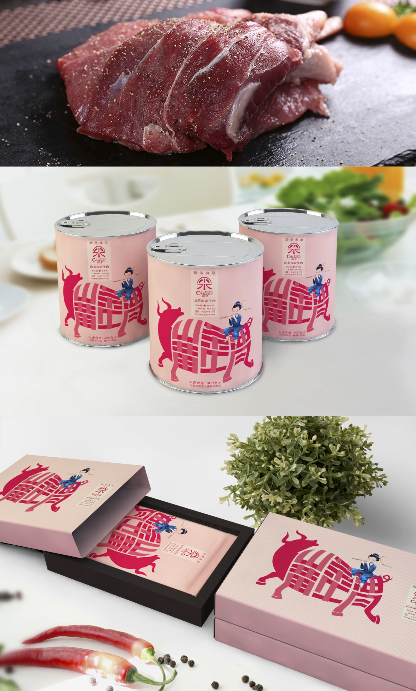 包装设计案例赏析:菜了食品—新蒸典范(浏阳蒸菜)