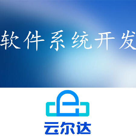 软件系统开发