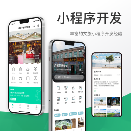 小程序开发/各行业的小程序开发/微信/支付宝/头条