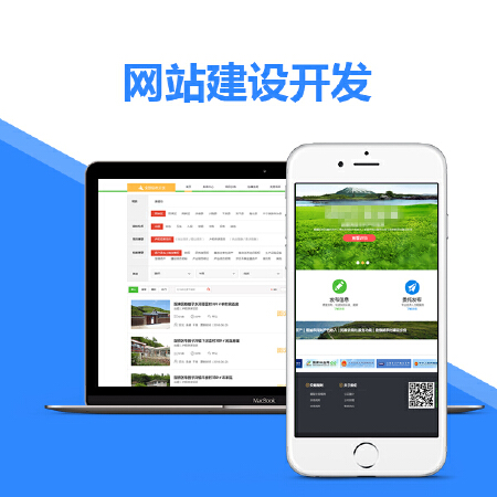 网站建设-定制开发