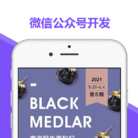 微信公众号-定制开发