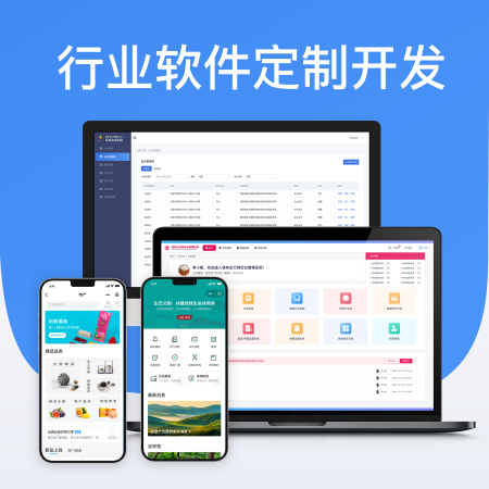 行业软件定制开发