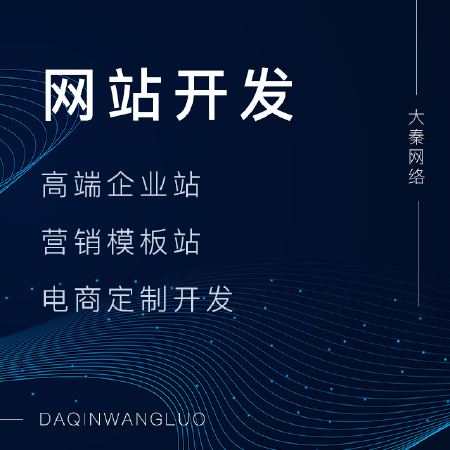 网站定制开发