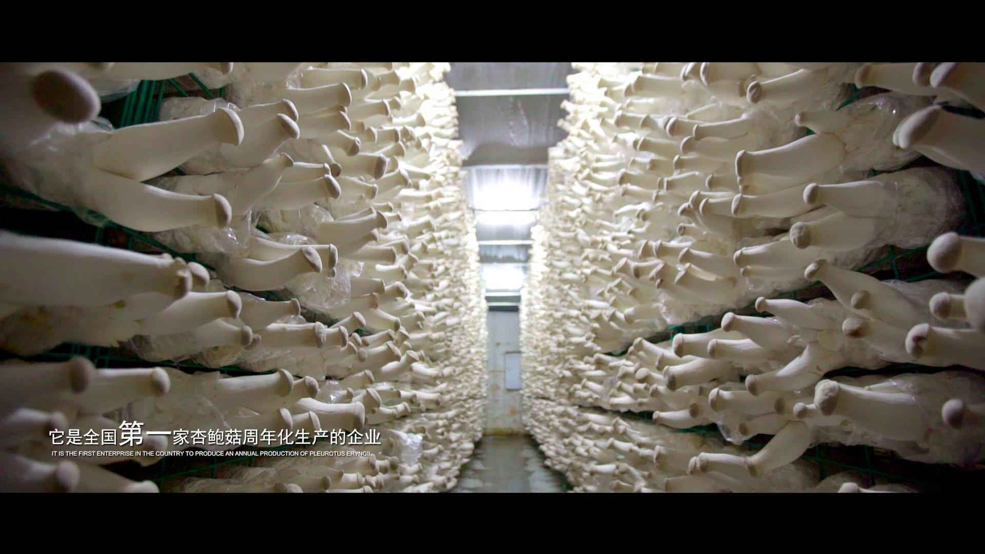 代米生物