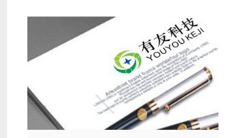 科技公司lgoo设计:有友科技