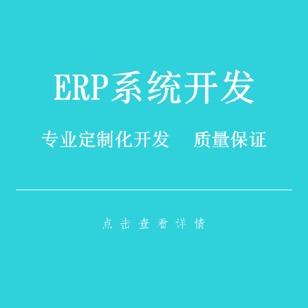 ERP系统开发