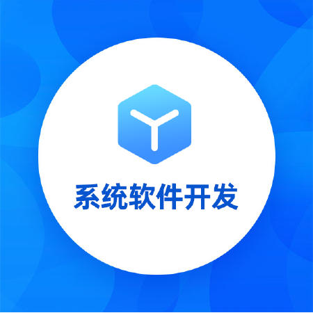 系统软件开发丨ERP系统丨进销存系统丨OA办公系统丨定制开发