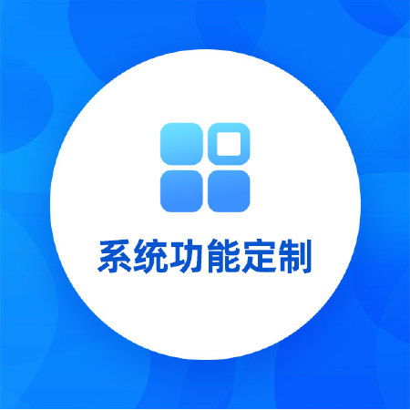 系统功能定制丨功能新增丨功能二次开发丨定制开发