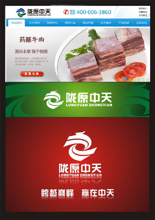 “陇原中天”(及拼音)+图形LOGO标志及企业VI设计